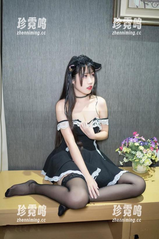 姐姐独酌合集：不呆猫的醉生梦死照片