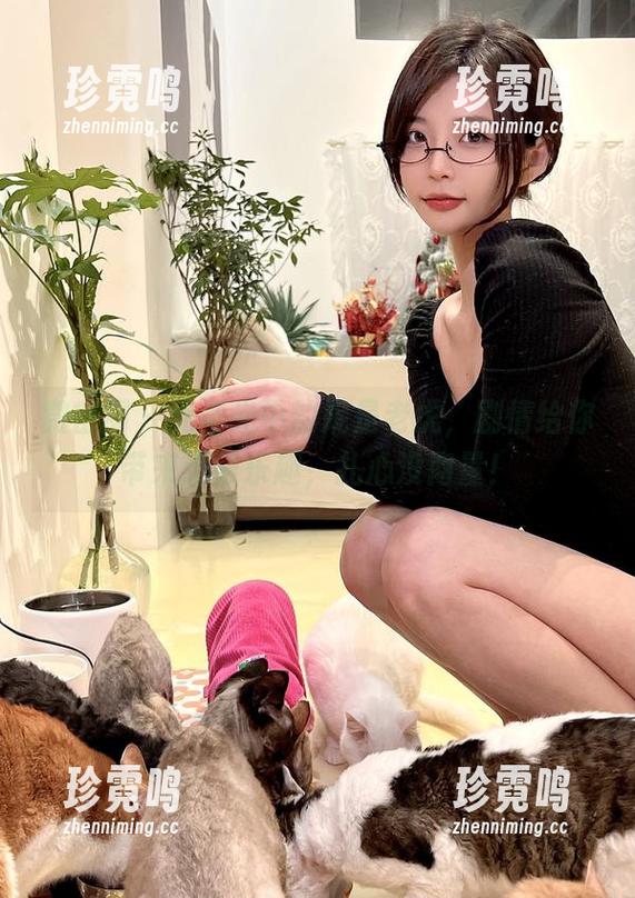 微密圈 - 无圣光中的妮是老虎，剧情给你带来无限乐趣，扎心没商量！