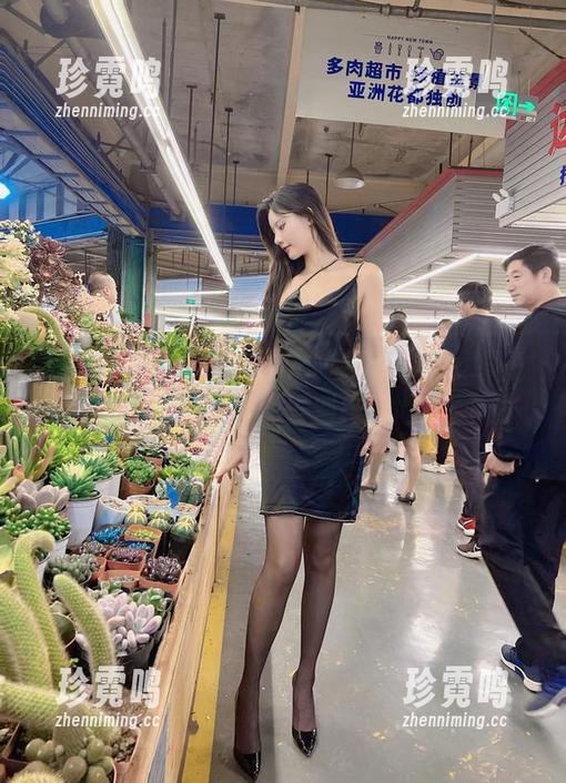 就是阿朱啊 微密圈 - 从图片看就是阿朱啊的护士梦,资源或许能带你去别样的地方。